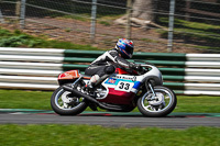 Vintage-motorcycle-club;eventdigitalimages;mallory-park;mallory-park-trackday-photographs;no-limits-trackdays;peter-wileman-photography;trackday-digital-images;trackday-photos;vmcc-festival-1000-bikes-photographs
